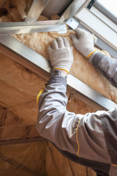 Best Insulation Repair Services  in Liberty, SC