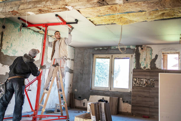 Best Insulation Replacement Services  in Liberty, SC