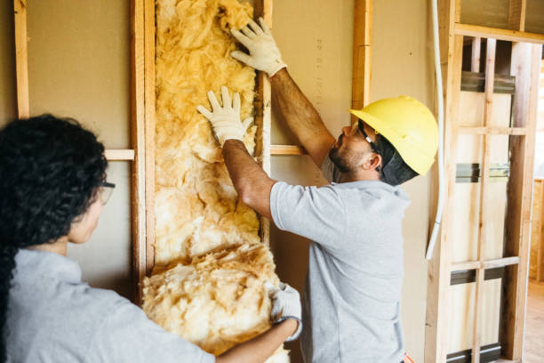 Best Best Insulation Companies  in Liberty, SC