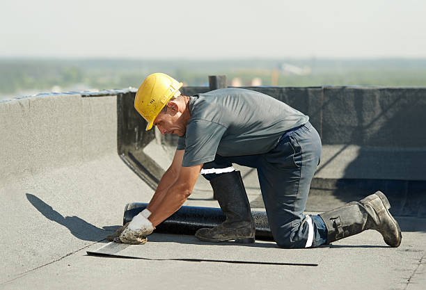 Best Wall Insulation Contractor  in Liberty, SC